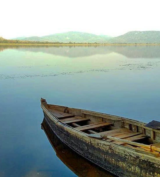 Birds. Boats. Breathtaking Views