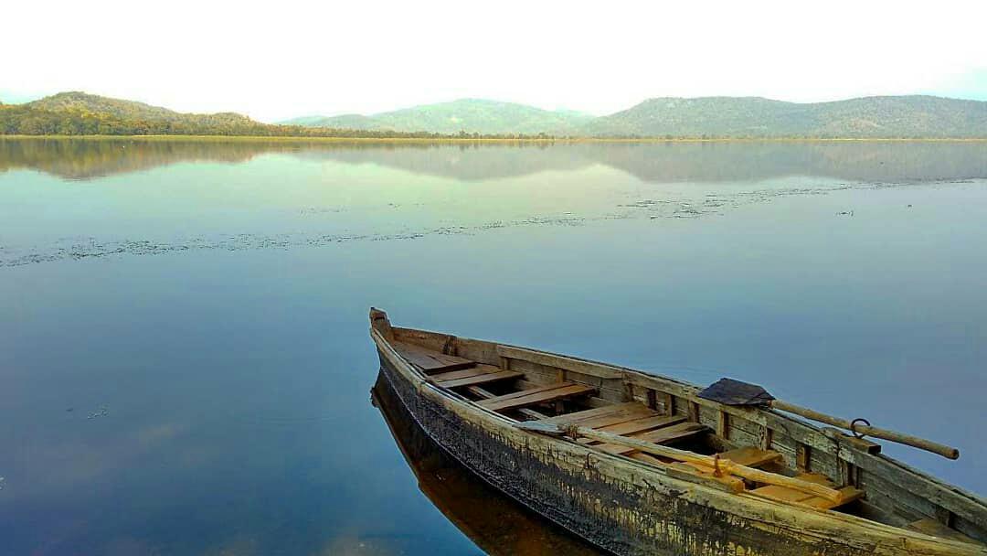 Birds. Boats. Breathtaking Views
